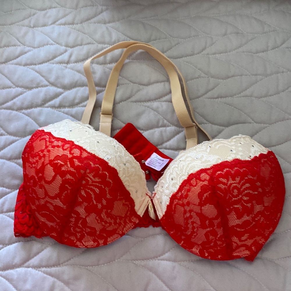 Youmita Lace Oush Up Bra with Stones